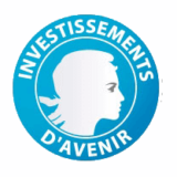 Investissements d&rsquo;Avenir